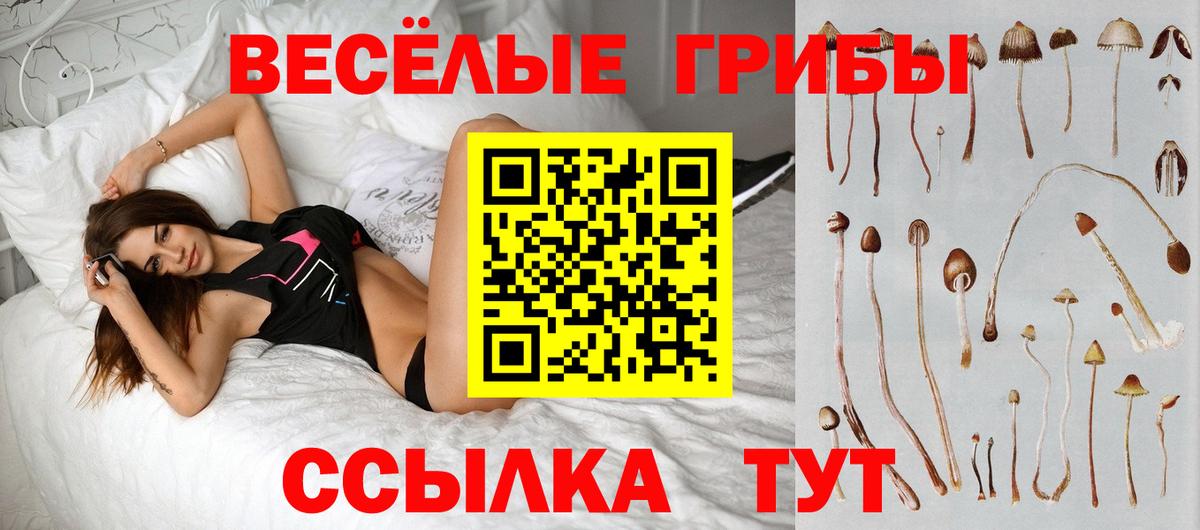 Арсеньев  Псилоцибиновые грибы мухоморы  Вход с VPN 